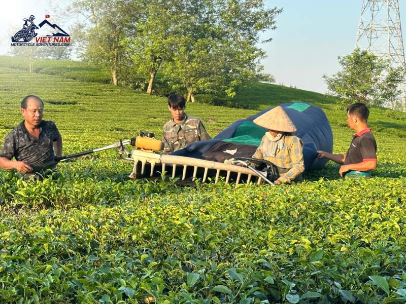 Visitors have the opportunity to learn about the daily working process of local people